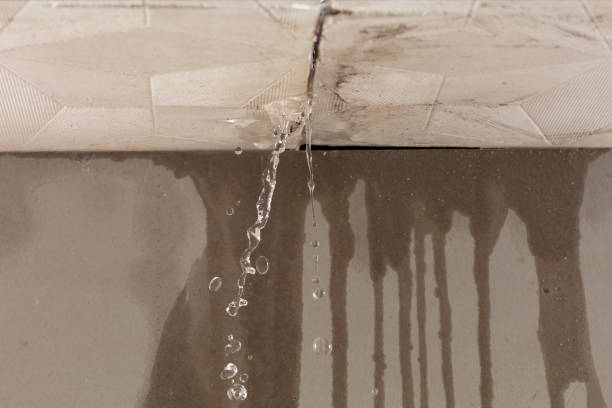 Professional Water Damage Inspection technician working in Five Points, TN